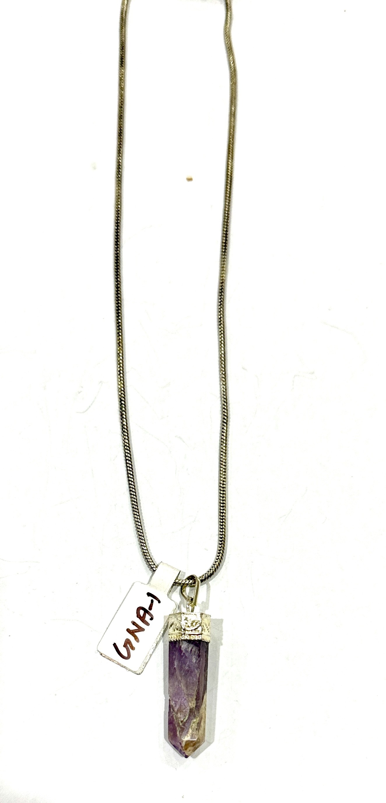 GNA-1