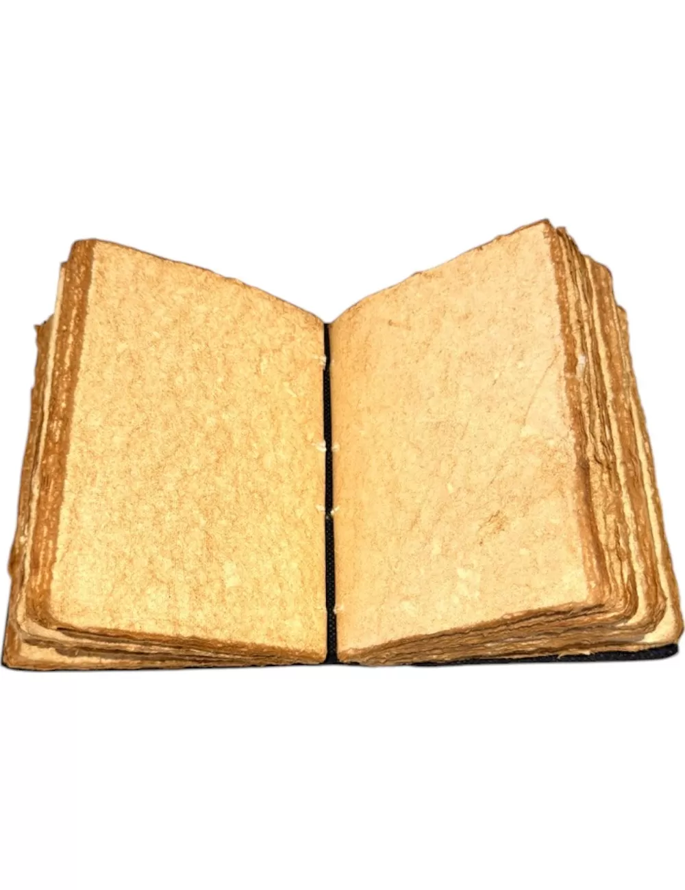 Antique Handmade : Snake Print Leather Diary : 13X18 cms