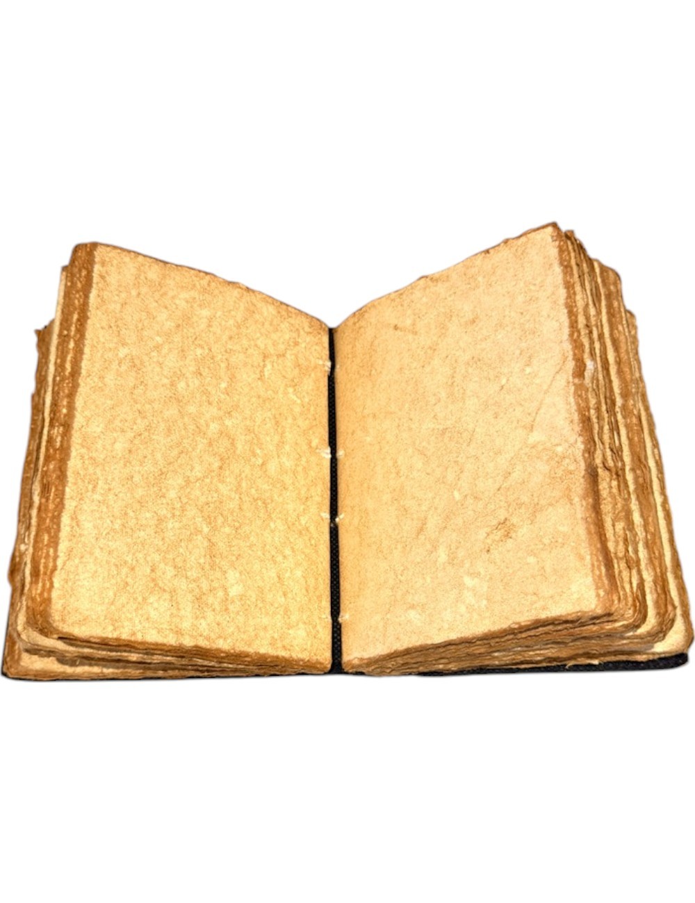 Antique Handmade : Snake Print Leather Diary : 13X18 cms